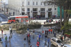Tres personas heridas por caída  de un árbol en plena Plaza de Armas