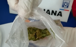 Aduanas detecta droga al interior  de bus que ingresaba a Magallanes
