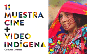 Muestra de Cine + Video Indígena se realizará en Punta Arenas