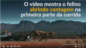 La notable carrera en la que un Fórmula E compitió contra un guepardo