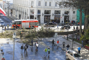 Viernes negro: árbol de Plaza Muñoz Gamero cayó sobre dos personas producto del viento
