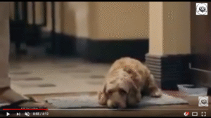 El conmovedor comercial navideño protagonizado por un perro que se convirtió en viral