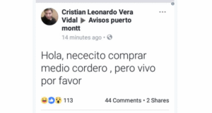 Curioso aviso de compra sureño se convirtió en viral: “necesito medio cordero, pero vivo”