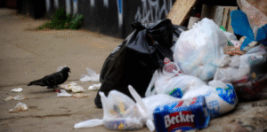Líderes ambientales  buscan eliminar la basura