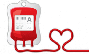 Banco de sangre del Hospital Clínico Magallanes requiere más donantes