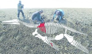 Descubren registros de dinosaurio de 150 millones de años en la Antártica
