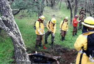 Dos turistas expulsados y tres sorprendidos  haciendo fuego en Parque Nacional Torres del Paine
