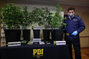PDI detuvo a joven vendiendo droga en su domicilio