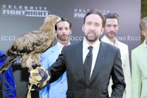 Nicolas Cage estaría  en quiebra