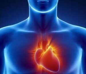 Recomendaciones para prevenir problemas cerebro y cardiovasculares