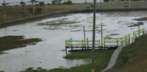Reunión de técnicos analizará situación de la laguna del Parque María Behety