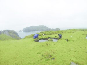 Consejo de Ministros aprueba creación  de Parque Marino Cabo de Hornos