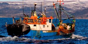 Pesca regional exhibió positivas cifras: desembarque  artesanal denotó un aumento interanual de 7,0%