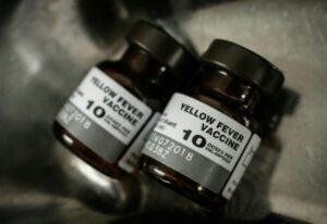 Fiebre amarilla en Brasil: no hay stock  de vacunas  en Chile