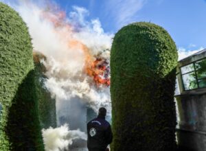 Nuevo incendio afectó a uno de los cipreses del Cementerio Sara Braun
