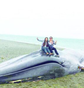 Repudio total en redes sociales contra mujeres que se tomaron foto sobre ballena