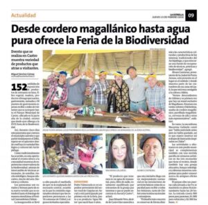 Delegación magallánica ha tenido exitosa venta de corderos en  Fiesta Costumbrista en Chiloé