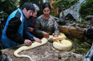 Agrupación de Amigos de los Ciegos visitó la muestra “Animales Asombrosos”