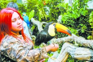 “Animales Asombrosos” tiene una renovación de especies