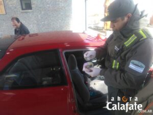 Dos chilenos detenidos con marihuana  y hongo alucinógeno en El Calafate