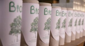 Ánforas biodegradables  llegan a Punta Arenas