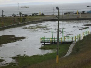Alcalde solicitó incorporar laguna y estero del Parque María Behety a programa de la DGA