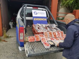 Autoridades decomisaron centolla en  el aeropuerto