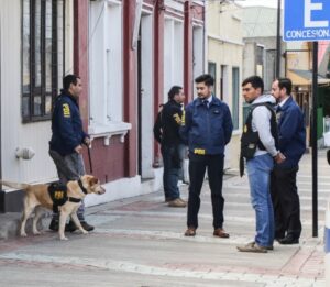 Dos detenidos y una importante cantidad de droga incautada en operación de la PDI