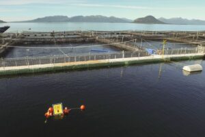 Greenpeace cuestionó creación de Parque Kawésqar