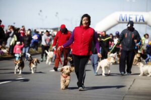 Sacúdete y anda a mover la cola junto a tu mascota en la Corrida Can 2018