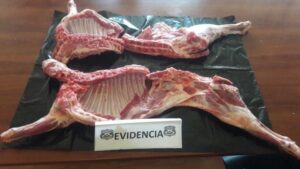 Carabineros detuvo a trabajador de estancia por el delito de abigeato