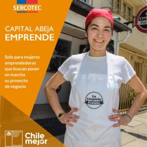 Hoy se abre el plazo para postular a  fondos de Capital Semilla de Sercotec