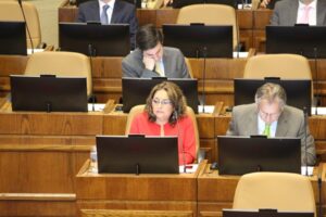Diputada Amar  abogó por monitoreo telemático en casos VIF