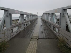 Mal estado de pasarela en la Costanera  dificulta el desplazamiento de peatones