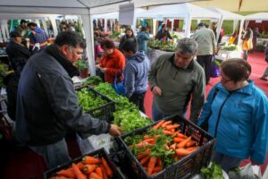 Puntarenenses concurrieron masivamente a feria saludable