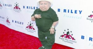 Falleció Verne Troyer, actor que interpretó a “Mini-Me” en “Austin Powers”