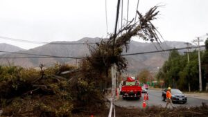 Onemi cifra en 23 mil los clientes afectados por cortes de electricidad tras intenso viento en Santiago