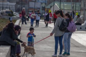 Punta Arenas sigue siendo la ciudad  con mejor calidad de vida de todo Chile