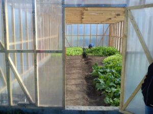 Comenzó concurso para equipamiento  de predios adquiridos por Conadi
