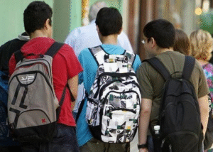 Establecimientos educacionales con mayor cantidad de alumnos extranjeros en Magallanes