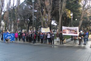 Profesores expondrán hoy en Comisión de Educación de la Cámara de Diputados