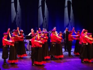 Aplicación Folklórica Brisa Austral celebrará con la comunidad ocho años de vida