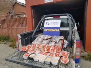 Sernapesca Magallanes ha incautado más de ocho toneladas de pesca ilegal en la región