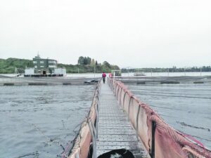 Desembarque pesquero  cayó tres por ciento en abril