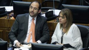 UDI aprueba cambio a declaración de principios
