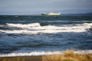 La ciudadanía puede elegir los siete tesoros culturales de Punta Arenas