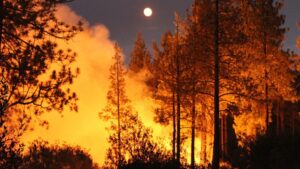 Trump declara estado de emergencia en California