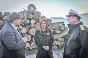 Gobierno gestiona 8 toneladas de leña en ayuda a Puerto Williams