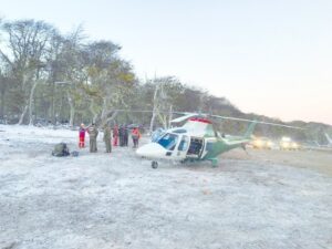 Fatal accidente: trabajador murió mientras realizaba labores forestales