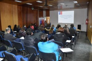 Magallanes será región piloto en notificación de enfermedades obligatorias